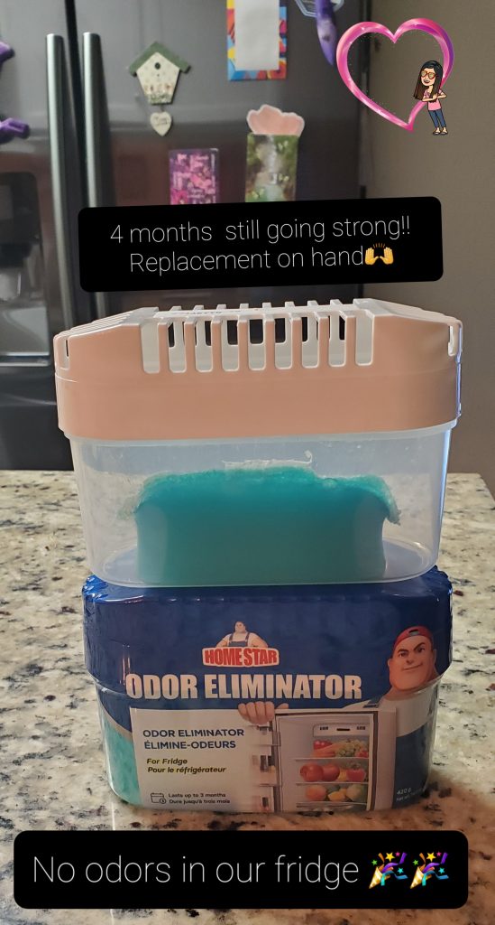 Refrigerator Odor Eliminator